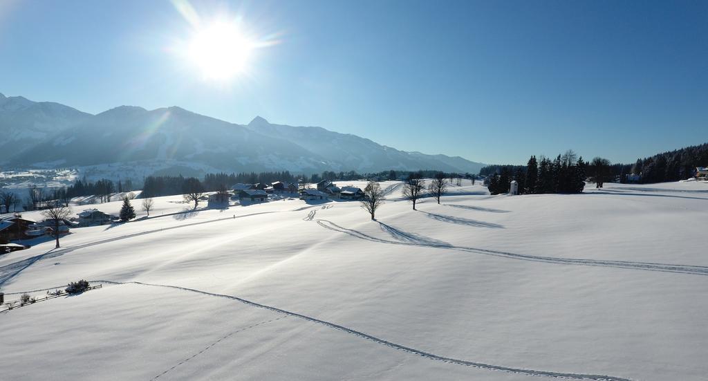 Chalet Findeisen Ramsau am Dachstein Exteriér fotografie